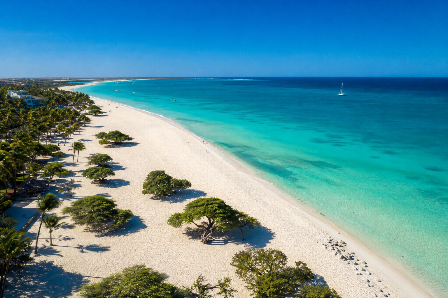 Vista aérea de Eagle Beach en Aruba con arena blanca, mar turquesa y los icónicos árboles divi-divi frente al Caribe.